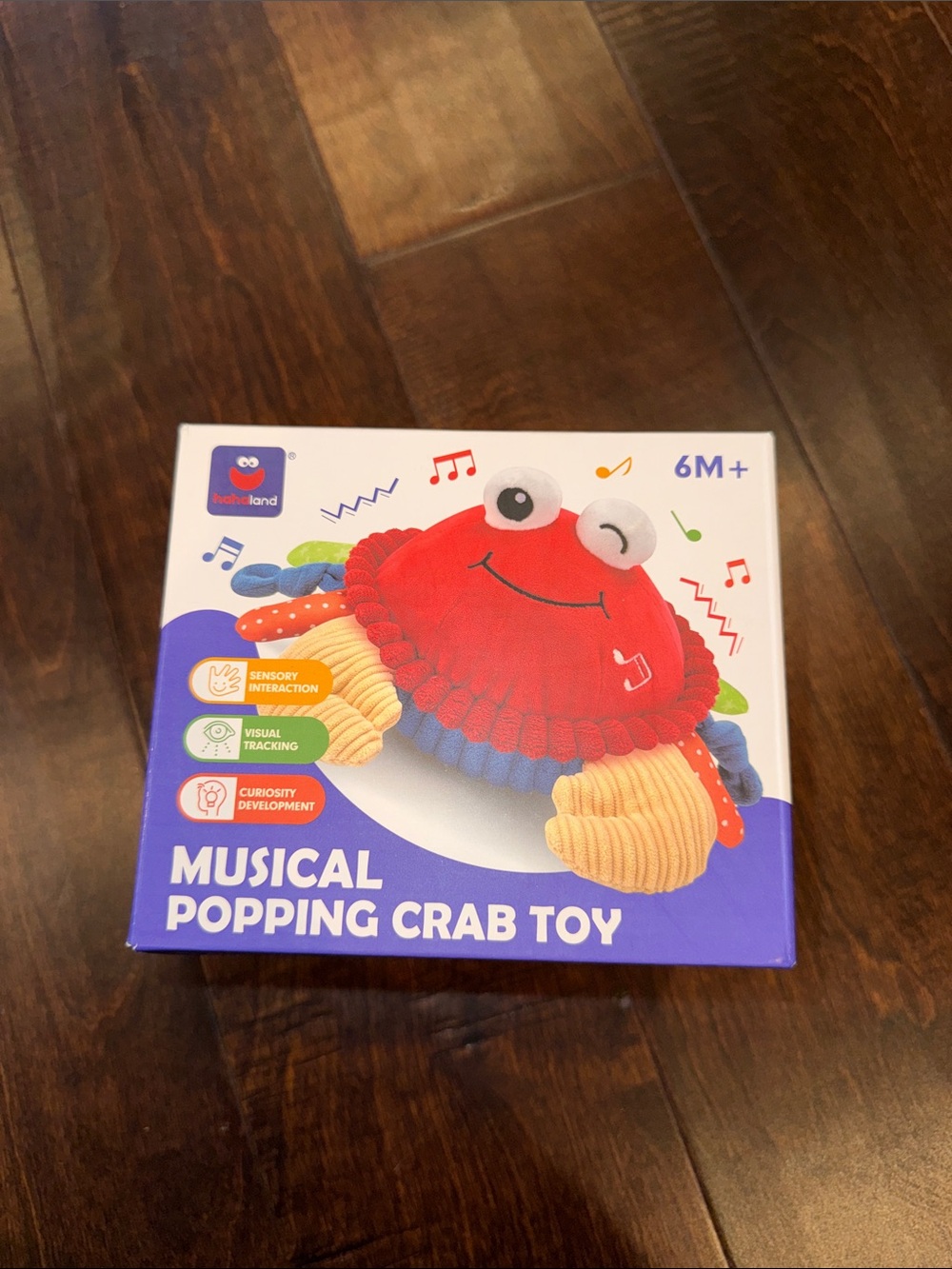 Musical Popping Crab Toy - Red